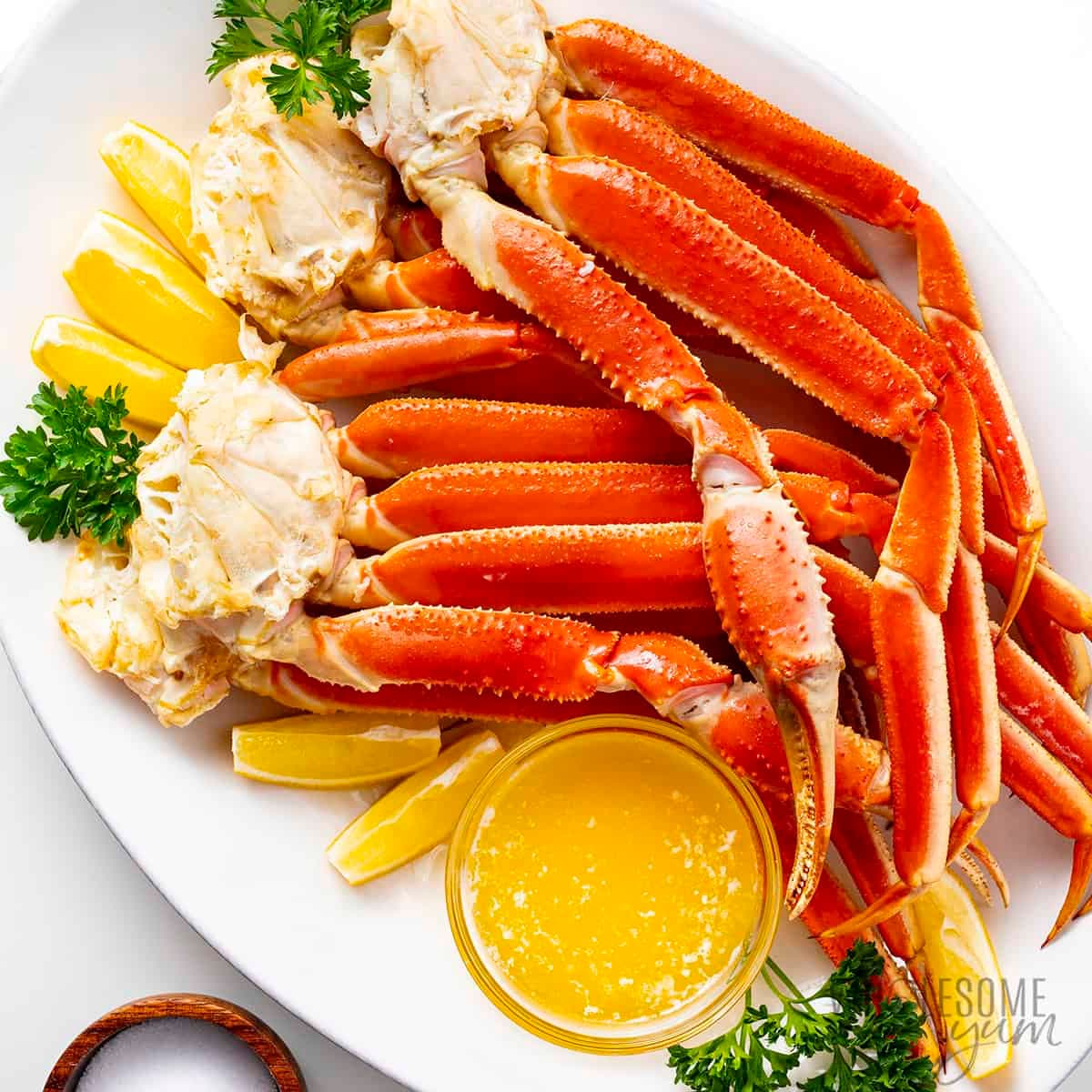 Live king crab wholesale ensuring top-quality freshness and sustainability